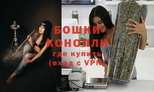 молекула духа Аркадак