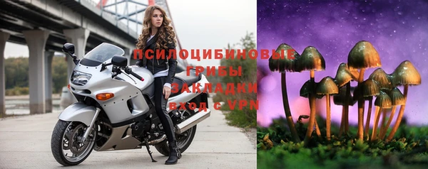 молекула духа Аркадак