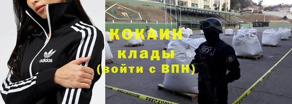молекула духа Аркадак