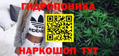 сатива Кунгур