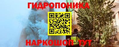 сатива Кунгур