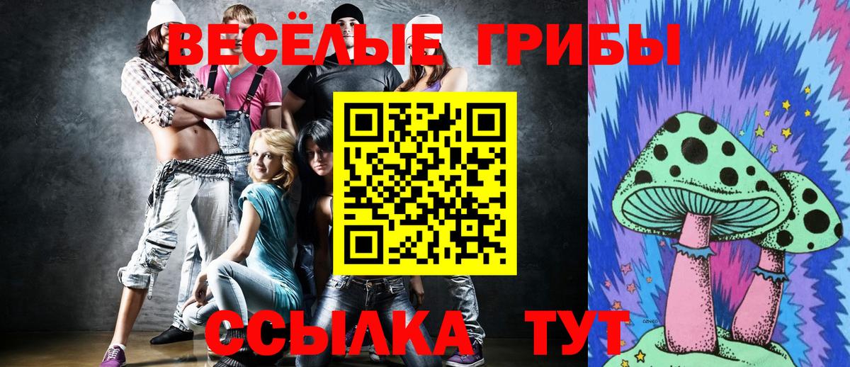 Воркута  наркотики  Вход с VPN  Псилоцибиновые грибы ЛСД 