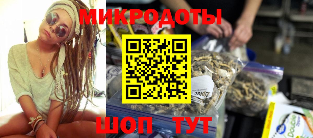 Галлюциногенные грибы Psilocybe Воркута